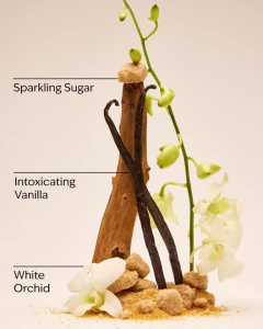 Body Splash WARM VANILLA SUGAR 236ML - Bath & Body Works - comprar online