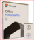 Microsoft Office Professional Plus 2021 vitalício 1 pc ativacao online com chave PARA Windows disponível 1 Estoque na internet