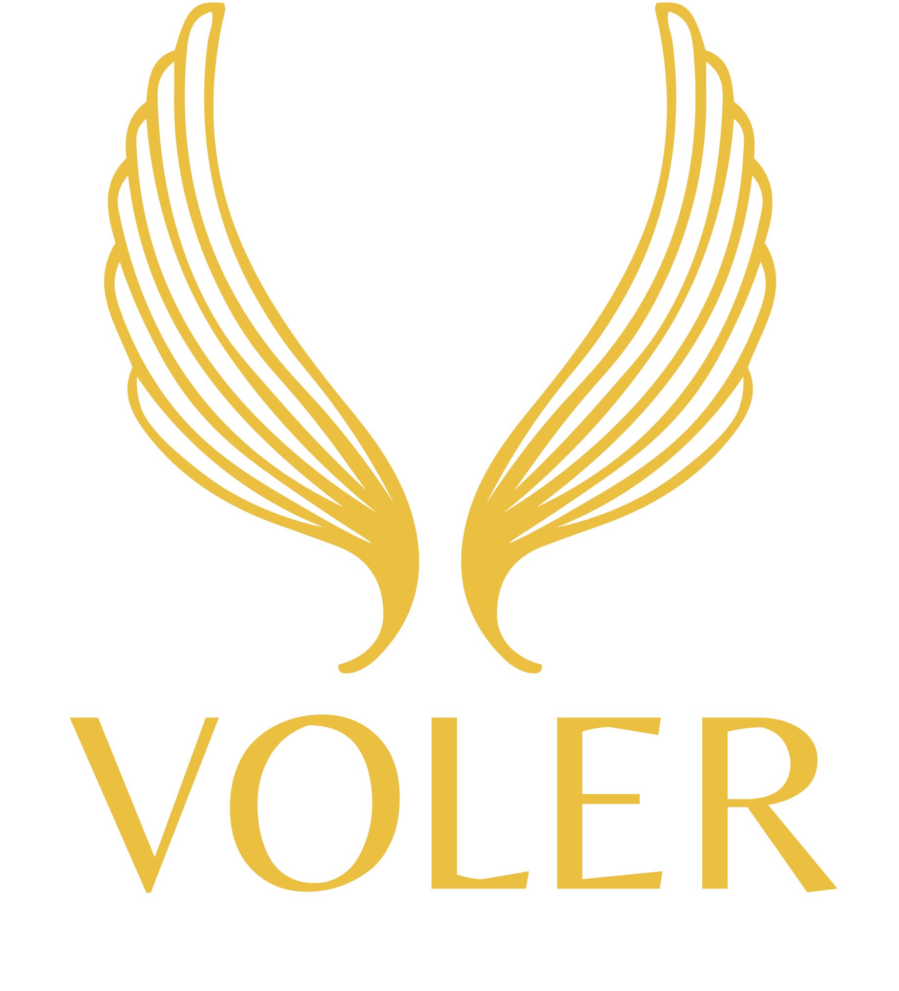 Voler