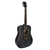 Violao Eletrico Coral 41 - Tonante- VGAC1954DS41