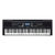 Teclado Yamaha PSR-EW310-BRA