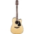 Imagem do Violão Takamine Folk Aço Elétrico com Afinador Fosco Claro GD12CENS