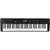Teclado Musical Harmonics HA-500