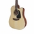 Violão Takamine Folk Aço Elétrico com Afinador Fosco Claro GD12CENS - comprar online