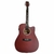Violão Waldman DCE-41 DNB Aço Elétrico com Afinador