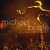 CD Michael Bublé Meets Madison Square Garden + DVD