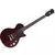 Guitarra Strinberg Les Paul S200 TWR na internet