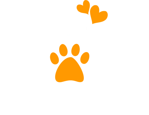 Bicho no Telhado