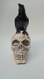 Cuervo calavera - comprar online