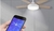 Carrusel SmartHome