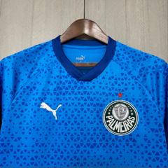 CAMISA PALMEIRAS TREINO 2024/2025 na internet