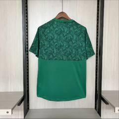CAMISA FLUMINENSE TREINO 2024/2025