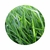 Semente Brachiaria Decumbens - 20Kg - comprar online