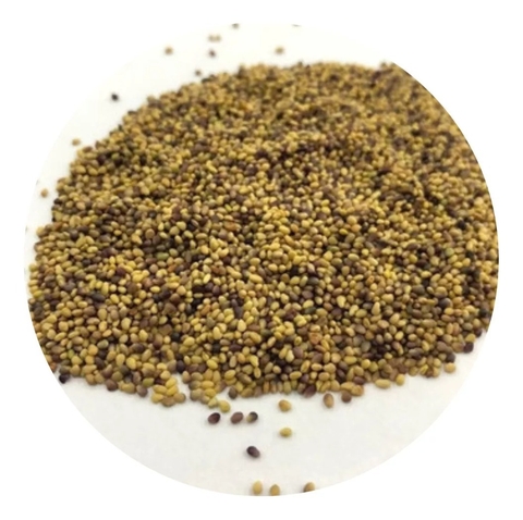 Sementes Trevo Vermelho 5 Kg