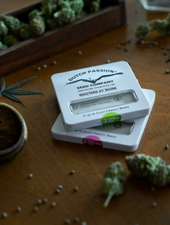 CBD Auto Blackberry Kush