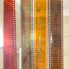 Manifestar la Imagen | Film Development Course - (copia) - buy online