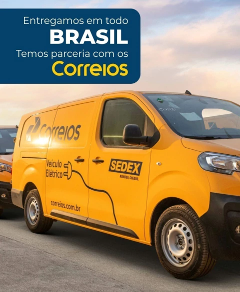 Carrossel 1