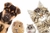Banner da categoria Pet
