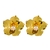 Brinco Flor