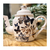 TETERA Butterfly BLUE - Koken Mayoristas