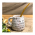 MATE CON ASA GOLD en internet
