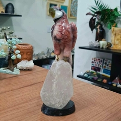 Papagaio lapidado no quartzo com base e detalhes 20cm na internet
