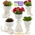 Vaso Suculenta Robert Plant Bob - Kit Com 5 Vasos Suculentas - KIT 1 - EXCLUSIVO DECORE DESIGN na internet
