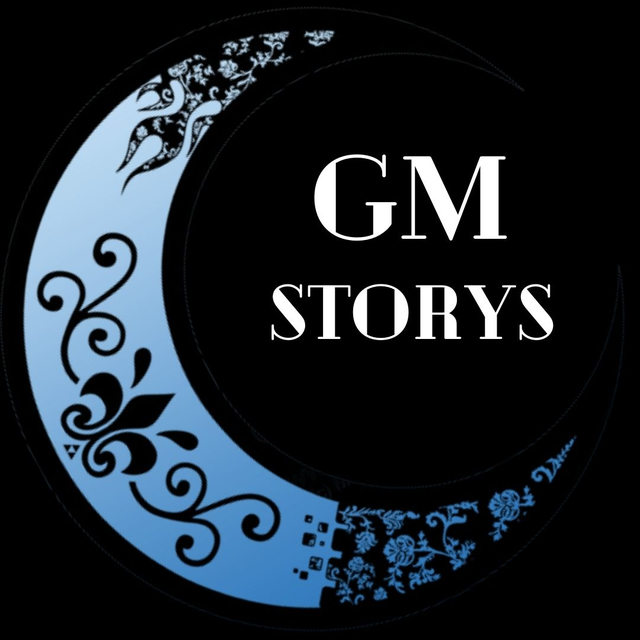 GmStors