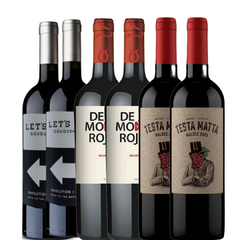 PROMOCION 1 MALBEC