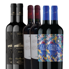 PROMOCION VINOS JOVENES