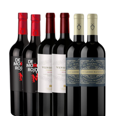 PROMOCION 2 MALBEC