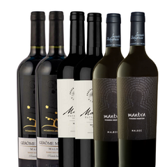 PROMOCION 4 MALBEC PATAGONICO