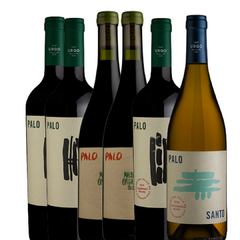 PROMOCION BODEGA URQO