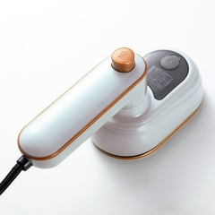 Mini Ferro de Passar a Vapor na internet