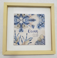 Ocena club