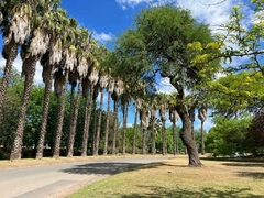ESTANCIA Q2 - LOTE EN VENTA - CONSULTAS AL 3518009199 en internet