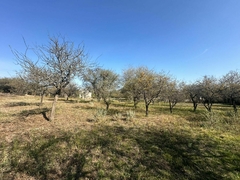 B° VILLA ALLENDE - 2 LOTES - 3516229707 consultas