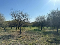 B° VILLA ALLENDE - 2 LOTES - 3516229707 consultas