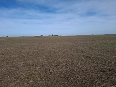 VILLA DEL ROSARIO - CAMPO SOBRE - CONSULTAS 3516229707 - tienda online