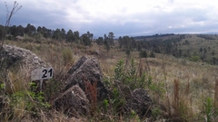 LOS REARTES - B° LOMAS DEL TIGRE - LOTE - CONSULTAS AL 3513547685 - comprar online