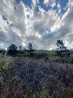 LOS REARTES - B° LOMAS DEL TIGRE - LOTE - CONSULTAS AL 3513547685 - BR HAUS