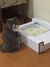 Sanitário Automático Caixa de Areia Para Gatos - loja online