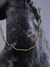 PULSEIRA LIV