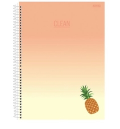 Caderno 10 Matérias Clean Feminino | São Domingos