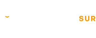 steelframesur