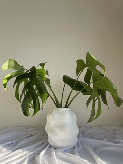 Vaso 002