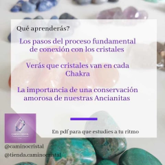 MANUAL PARA INCORPORAR LOS CRISTALES A TU VIDA en internet