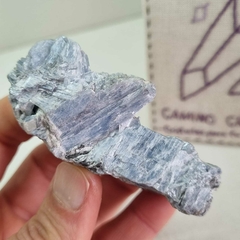 CIANITA AZUL - comprar online