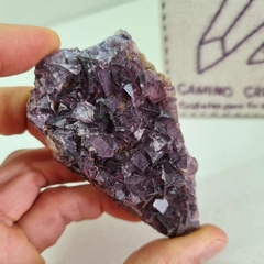 FLUORITA EN CRISTALES CÚBICOS en internet