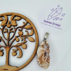 DIJE DE GEODA DE ÁGATA - Tienda.CaminoCristal